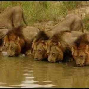 Meet your Posher, Timothy